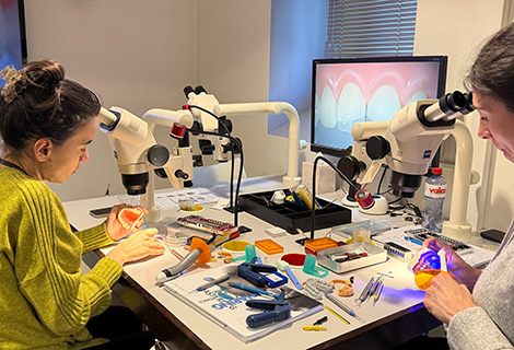 Edudent International Pro