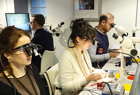 Edudent International Pro