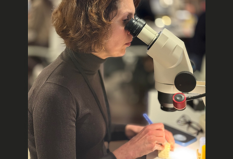 Edudent International Pro