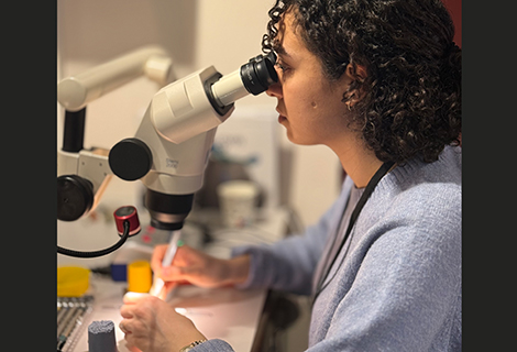 Edudent International Pro