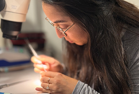 Edudent International Pro