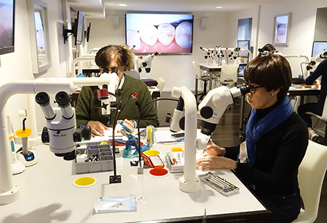 Edudent International Pro