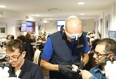 Edudent International Pro