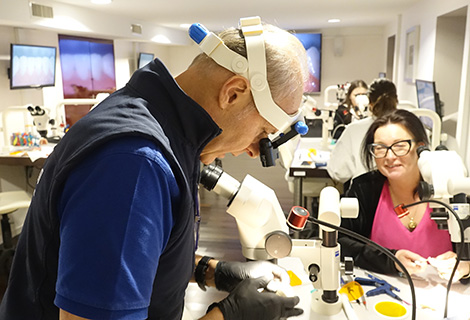 Edudent International Pro