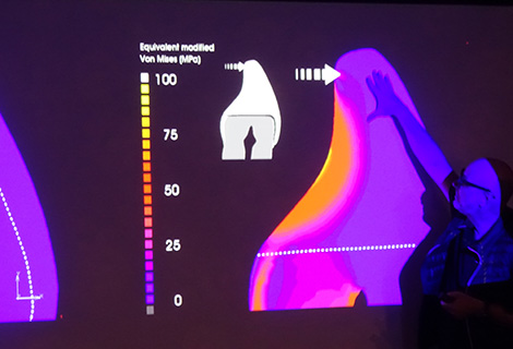 Edudent International Pro