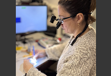 Edudent International Pro