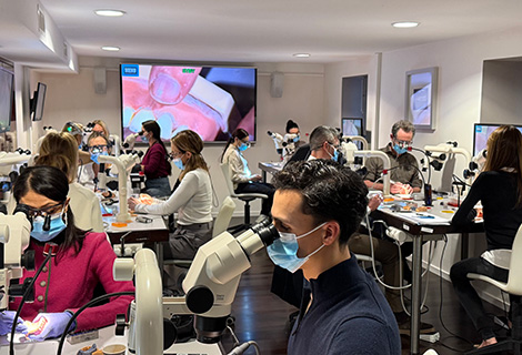 Edudent International Pro